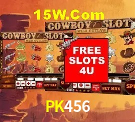 Exclusive Offers PK456