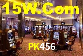 Programa VIP PK456