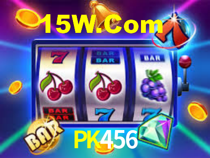 Premium Interface PK456