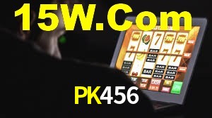 PK456 App Interface