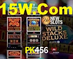 Premium Interface PK456